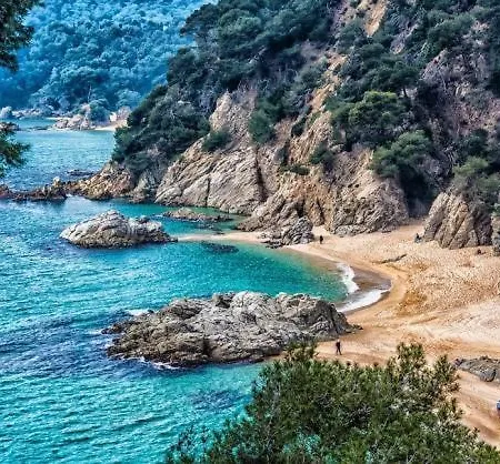 Apartment Al28 Duplex En La Playa, Fenals, Costa Brava